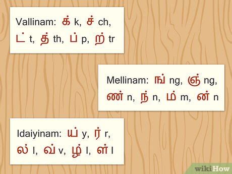 vallinam mellinam idaiyinam in tamil|Chapter 1.2 Consonants – Basic Tamil